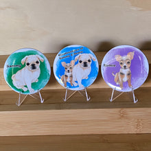 Load image into Gallery viewer, Bring Remie home